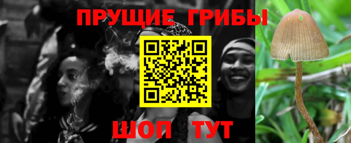 Псилоцибиновые грибы мухоморы  Вход с VPN  Сланцы 